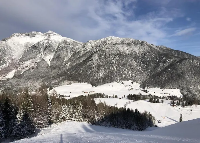 Lejlighed Silberwald